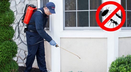 Dikili Gümüşkurt İlaçlama böcek ilaçlama ve haşere kontrolü — ilaclama-tr.com